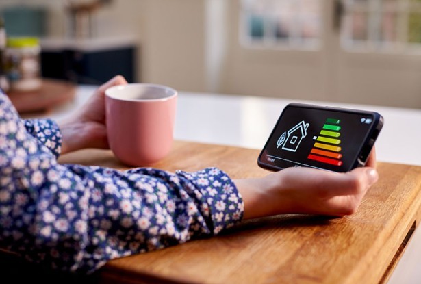 Checking The Smart Meter